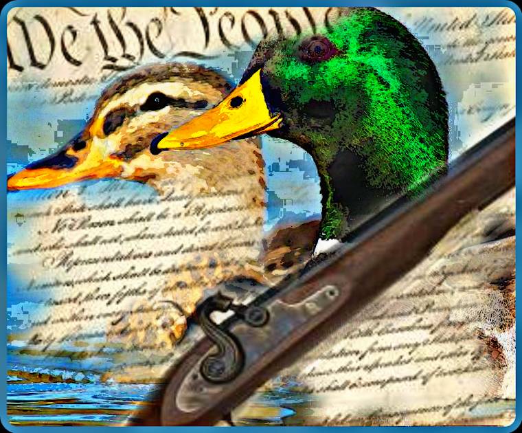 duck hunting collage