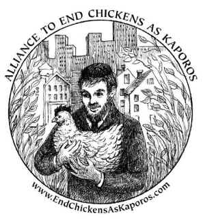 Kaporos chickens