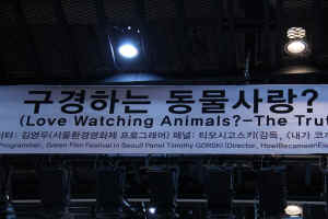 Korea animal film festival Gorski