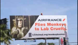 air france monkeys vivisection