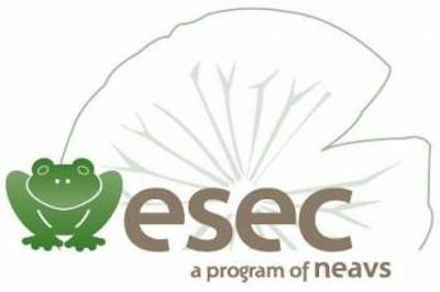 ethical science logo