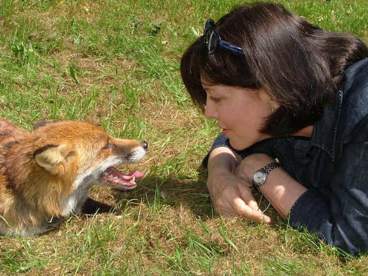 Judy Hewitt and fox