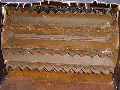 wood chipper killing hens