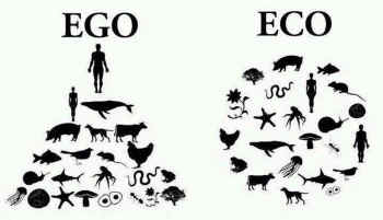 ego ego