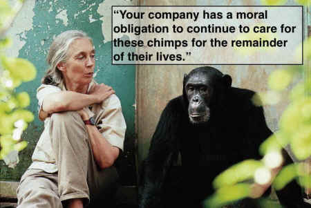blood center chimps