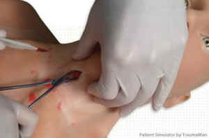 pigs vivisection TraumaMan