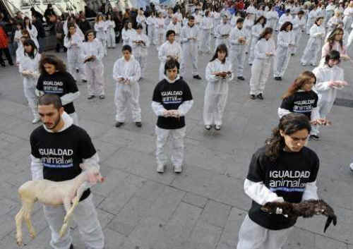 national animal rights day madrid