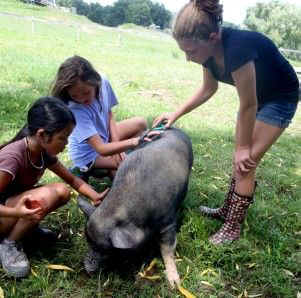 Catskill sanctuary kindness camp