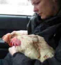 Katie and Twyla