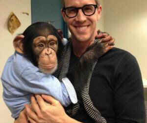 chimpanzee entertainment Scorcese