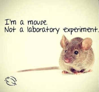 mouse cruelty-free