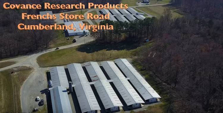 covance dog breeders