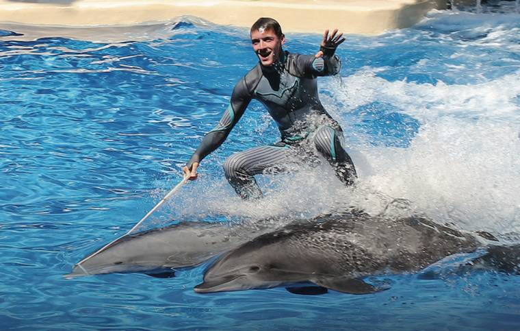 'riding Dolphins