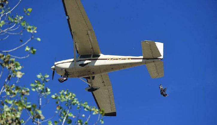 turkey thrown out of plane