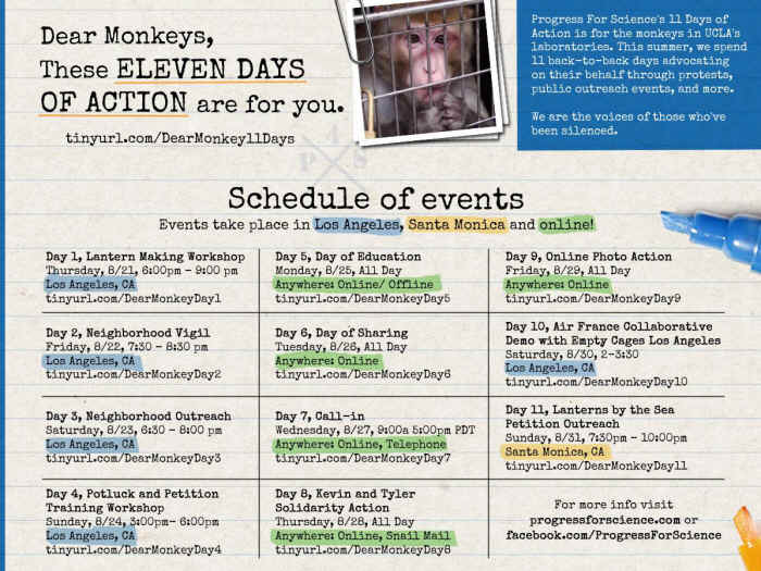 eleven days monkeys