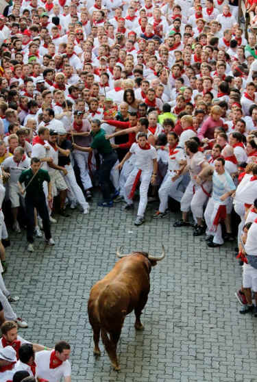 all nations abuse animals