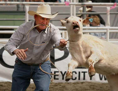 all nations abuse animals