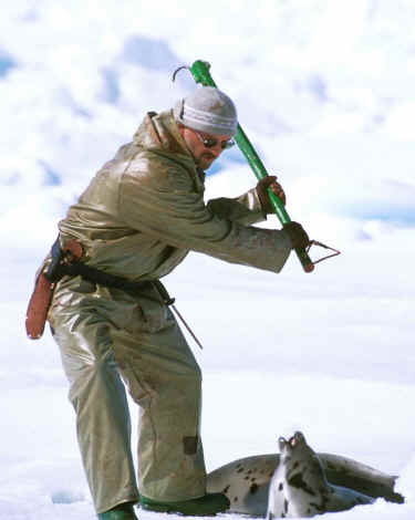 all nations abuse animals