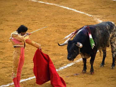 all nations abuse animals