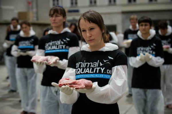 Animal Equality dead bodies
