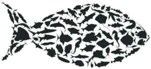fish fishes