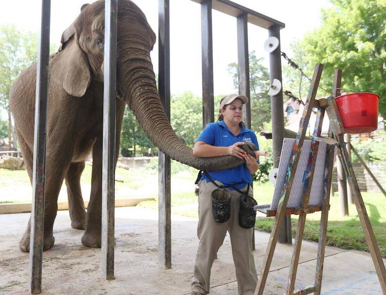 Painting Elephant