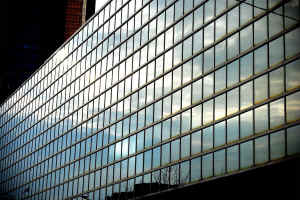 glass walls slaughterhouses