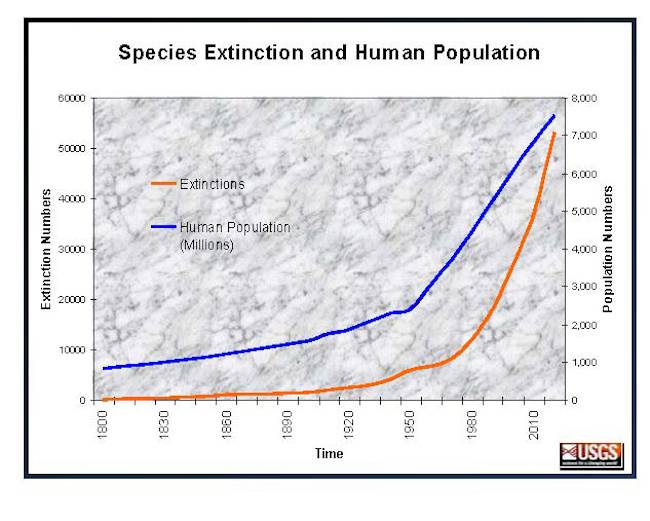 humans and extinction