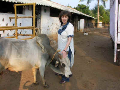 animals india Eileen Weintraub