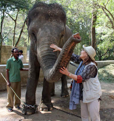 animals india Eileen Weintraub