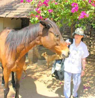 animals india Eileen Weintraub