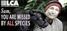 Sam Simon