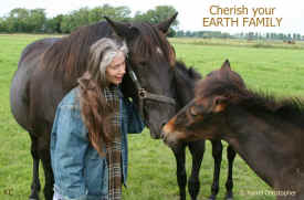 horse slaughter animal rights activism