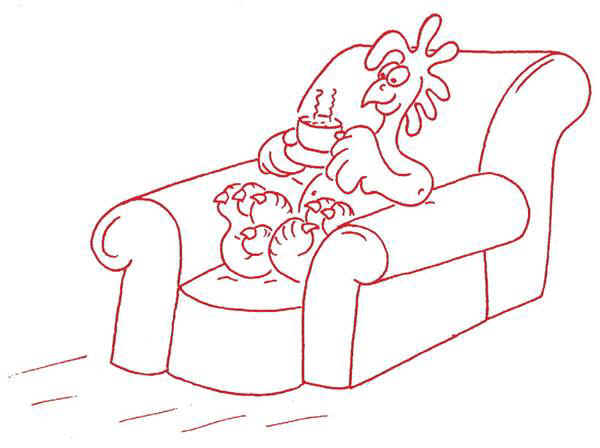 Illustration from Nature's Chicken by Nigel Burroughs