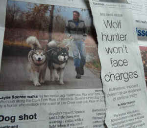 hunter kills dog malamute