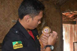 Indonesia wildlife dealer