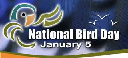 national bird day