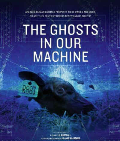 ghosts in our machine