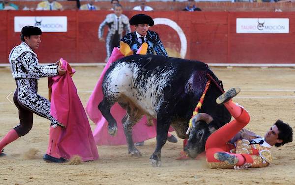 bullfight Lorenzo