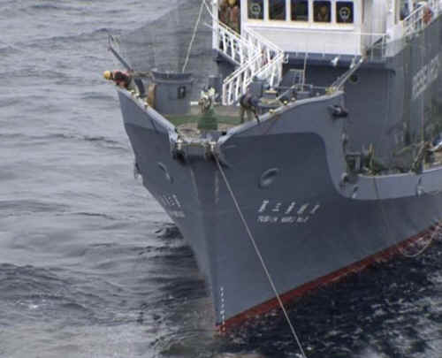 Japanese whaling ship