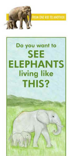 circus elephant brochure