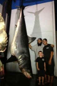 mako shark killing fishing