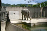 ar-kyotozoo-02_small