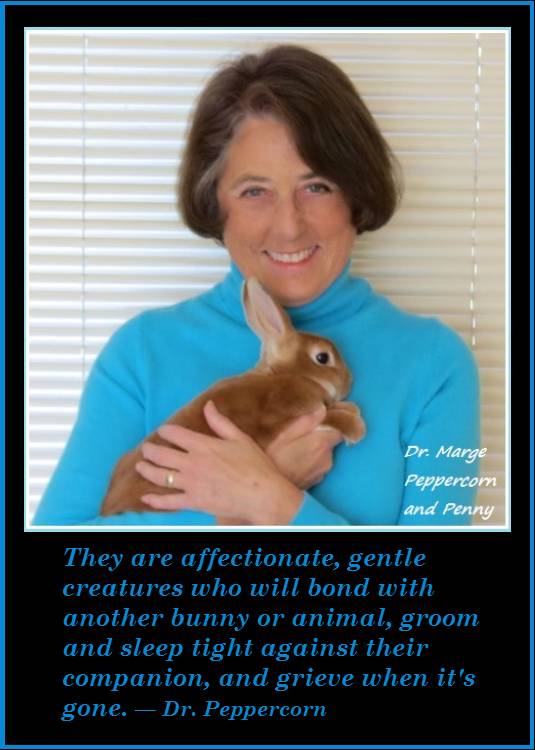 marge peppercorn rabbit