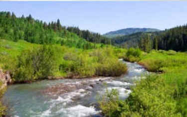 last fish fishing overfishing