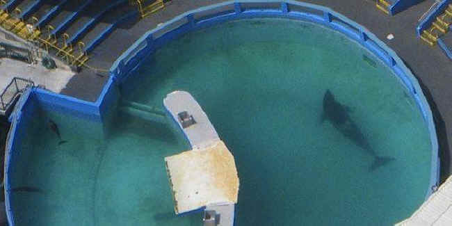 Lolita Seaquarium