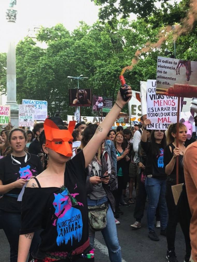 animal rights march