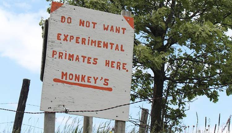 sign near monkey sanctuary