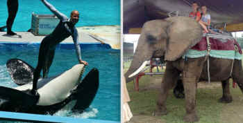 Lolita Nosey
