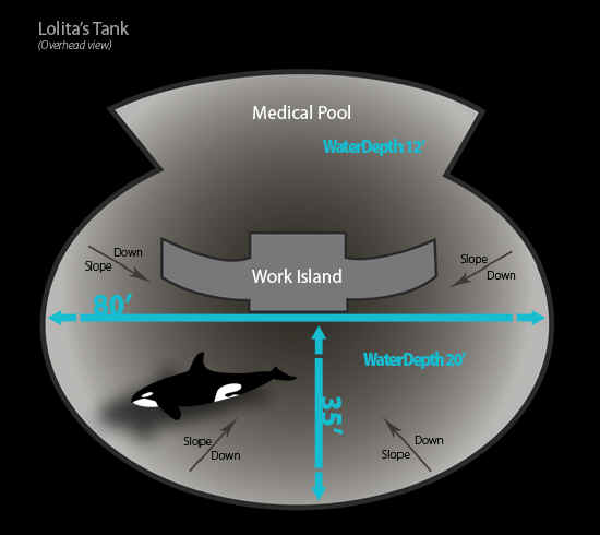 ar-lolita-tank
